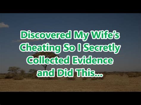 Discovered My Wifes Cheating So I Secretly Collected Evidence And Did