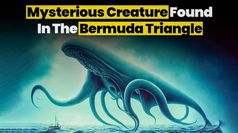 Mysterious Creature Found In Bermuda Triangle Mystery Of Bermuda