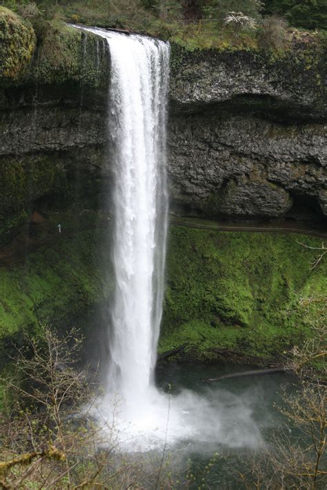 Silver Falls State Park, Silverton, Oregon | Silver falls state park ...