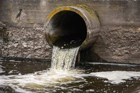 Revealing The Potential Health Effects Of Sewage Contamination