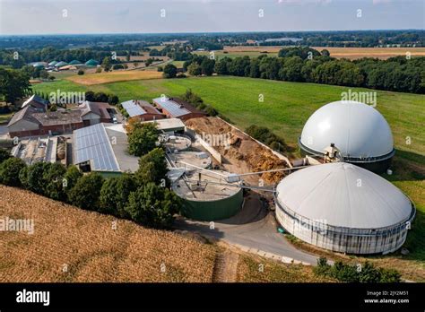 Biogas Plant Gas Storage With Dome Fermenter Tanks For The