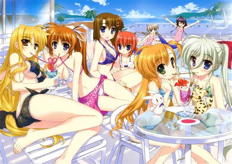 Fate Testarossa Takamachi Nanoha Yagami Hayate Vita Vivio And 5