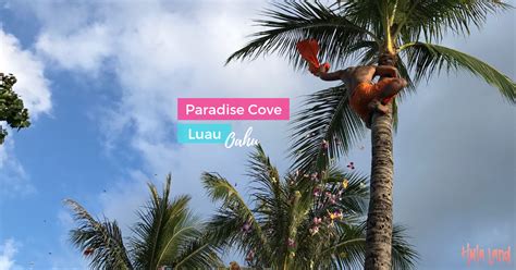 Paradise Cove Luau, Oahu - Hulaland