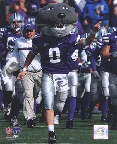 Willie the Wildcat. Kansas State Wildcats. | Kansas state, Kansas state ...