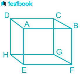 what are vertices: covers definition, 2D and 3D, difference between ...