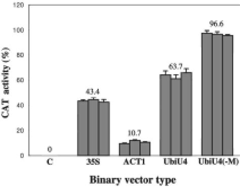 Comparison Of Promoter Activity In Tobacco Plants Using Download Scientific Diagram