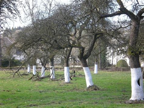 Domaine Saint Roch Couvin Alles Wat U Moet Weten Voordat Je