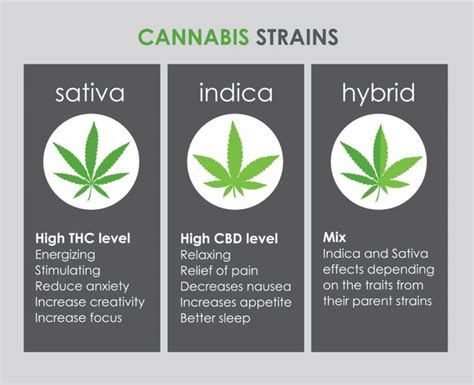 Edibles Dosage Chart How To Dose Cannabis Edibles Giving Tree Dispensary