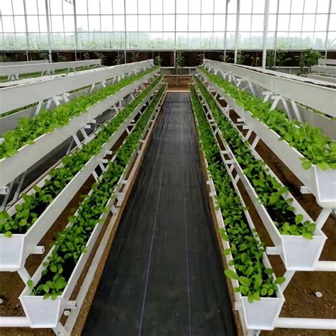 Best Agriculture Greenhouse Accessories Farming Superfarm Hydroponics