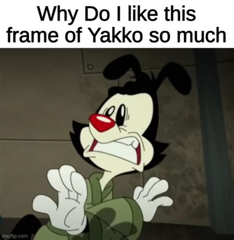 animaniacs Memes & GIFs - Imgflip Yakko, Add Meme, Fun To Be One, Web ...