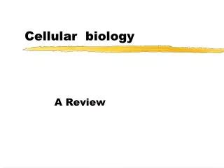 Ppt Altered Cellular And Tissue Biology Powerpoint Presentation Free