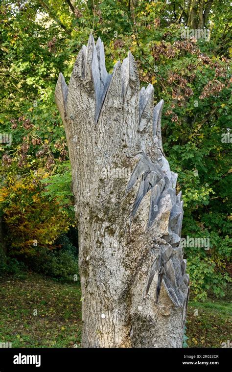 Arbre Mort Avec Un Tronc Debout Ou Monolithe Avec Des Coupes Profondes