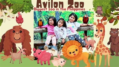 Avilon Zoo Tour Rodriguez Rizal Things To Do In Avilon