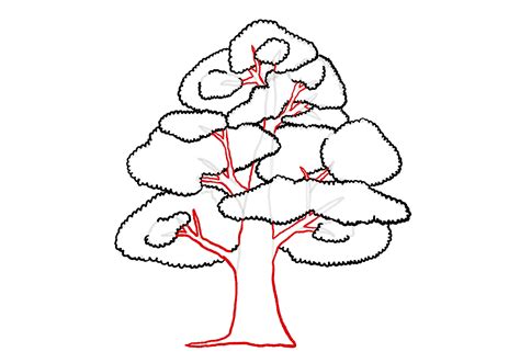 How To Draw A Tree Design School