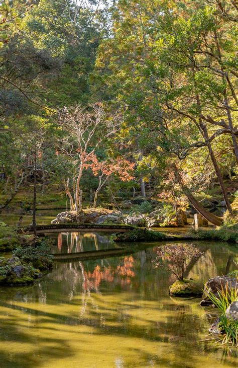 Kokedera Moss Temple Kyoto