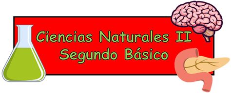 Ciencias Naturales Do B Sico Ciencias