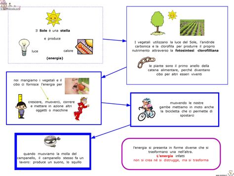 10 Conoscere L Energia Energia Catena Alimentare Scuola Elementare