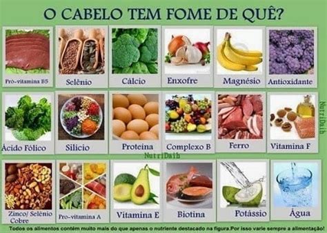 Alimentos Que Fortalecem Os Cabelos E Evitam A Queda - Alimentos que tratam a queda de cabelo de forma natural