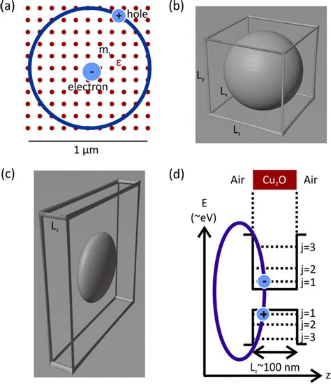 Rydberg Excitons In Cuprous Oxide A With An Electron Mass