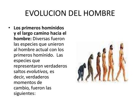 Evolucion Del Hombre