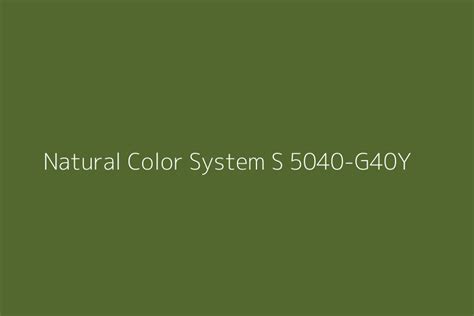 Natural Color System S 5040 G40y Color Hex Code