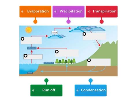 Water Cycle Label - Labelled diagram