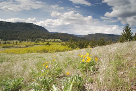 BC Interior - Nature Conservancy of Canada