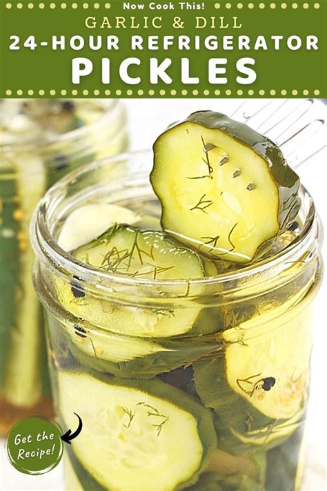 Garlic And Dill 24 Hour Refrigerator Pickles Recipe Pickles