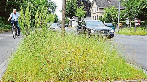 M Harbeiten Gef Hrden K Nftige Bl Tenpracht