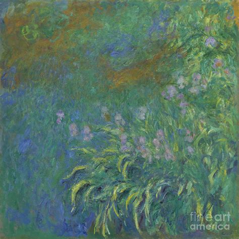 Irises Painting By Claude Monet Fine Art America