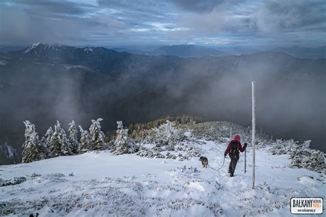 Ni Ne Tatry Z Psem Trekking Z Magurki Na Chabenec Ba Kany Wed Ug Rudej