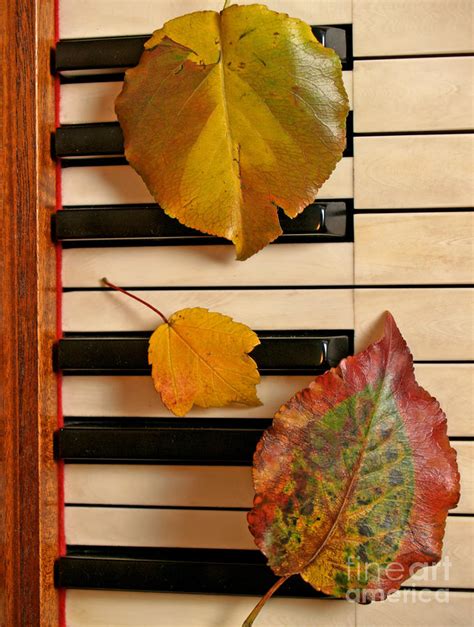 Autumn Piano ~ Autumn Posters Picture