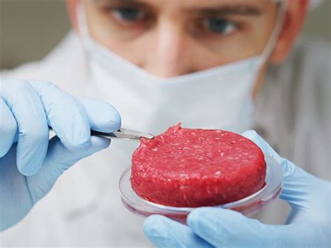 Cultured Meat Products | AMSBIO