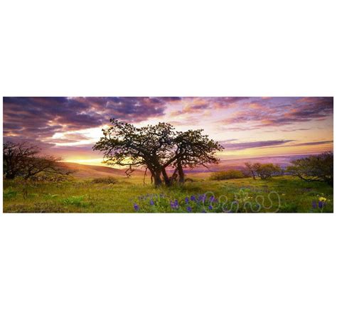 Heye Edition Alexander Von Humboldt Oak Tree Panorama Puzzle Pcs