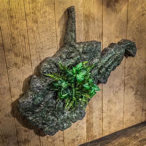 Shop — Sculpted Living