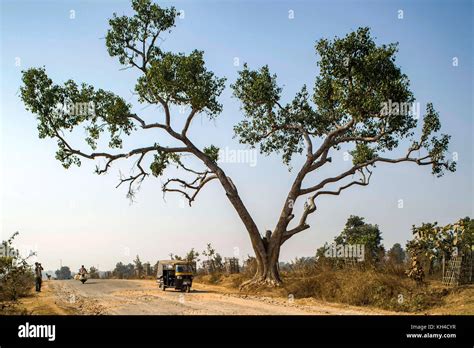 Roads Of Jharkhand Hi Res Stock Photography And Images Alamy