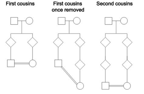 Inheritance Patterns And Pedigree Analysis Flashcards Quizlet