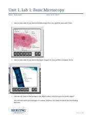 Unit Lab Basic Microscopy Lab Write Up Docx Unit Lab