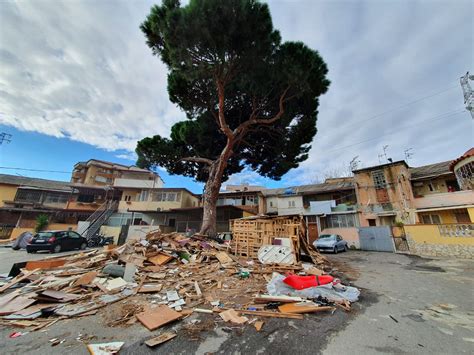 Messina Metri Cubi Di Cataste Di Legno Per Il Fal Di Fine Anno La