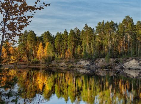 Растения ХМАО Югры - фото и картинки: 57 штук