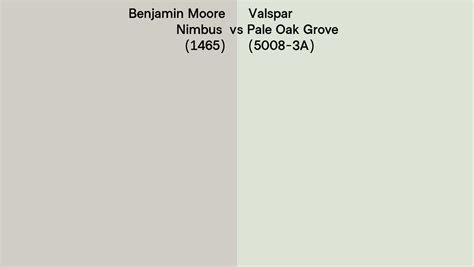 Benjamin Moore Nimbus 1465 Vs Valspar Pale Oak Grove 5008 3a Side