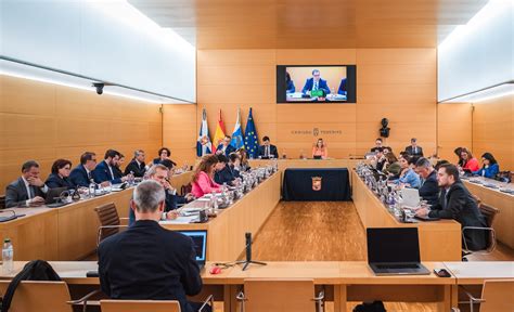 El Cabildo exige al Ministerio del Interior la creación de una Unidad