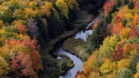 Michigan Fall Foliage 2024 - Erena Jacenta