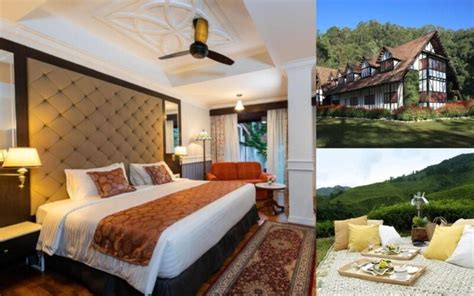 The Best Cameron Highlands Hotels Unveiled! From Budget Hotels and ...