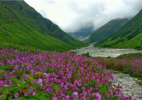 Places to Visit near Valley of Flowers | Reír
