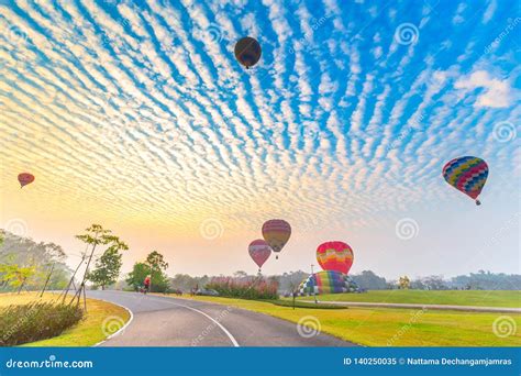 Hot Air Balloons Flying Over Flower Field With Sunrise At Chiang Rai