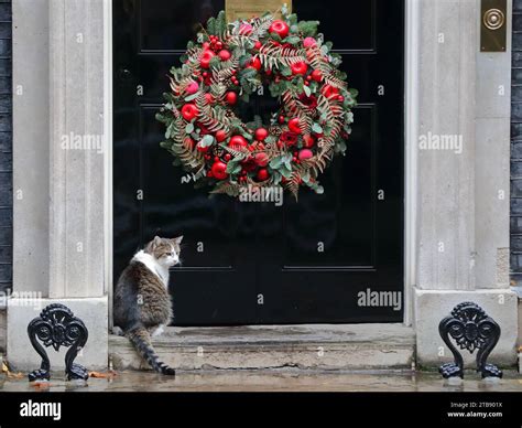 London United Kingdom Th Dec Larry The Cat Chief Mouser To