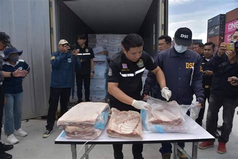 ผู้เลี้ยงหมู ร้องภาครัฐตรวจค้นซ้ำ หวั่น “หมูเถื่อน” ยังตกค้างแทรกแซง