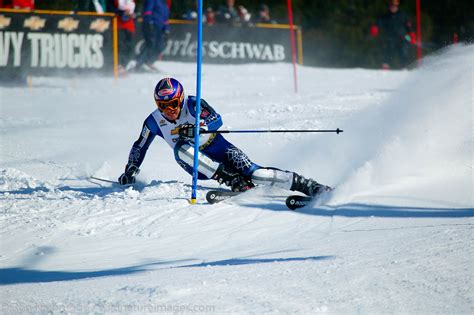 downhill skier   ron niebrugge