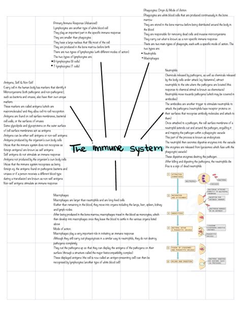 11 The Immune System Notability Gallery